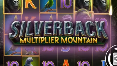 silverback multiplier mountain